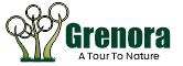 Grenora